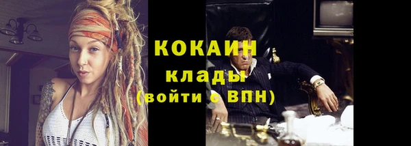 дурь Богданович
