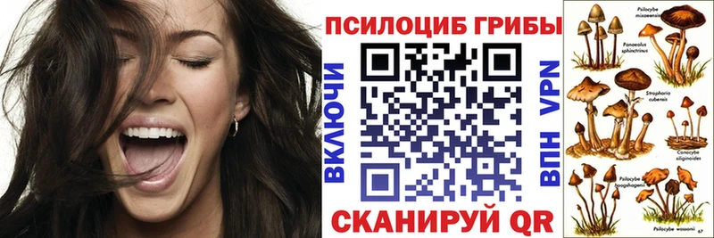 Псилоцибиновые грибы GOLDEN TEACHER  где купить   Донской 